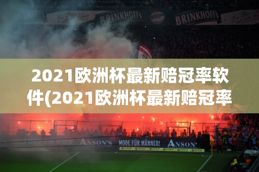 2021欧洲杯最新赔冠率软件(2021欧洲杯最新赔冠率网站)